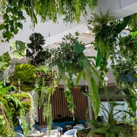 Reyna Констанца