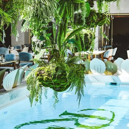 Reyna Maison d'hôtes Constanţa