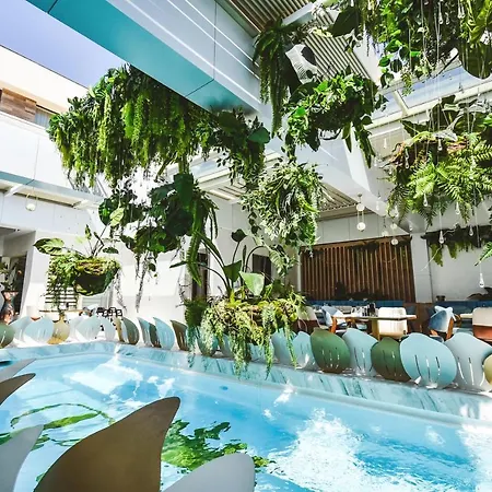 Reyna Maison d'hôtes Constanţa