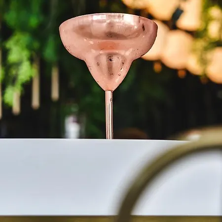 Reyna Maison d'hôtes Constanţa