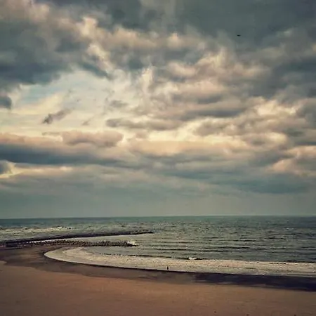 Reyna Констанца