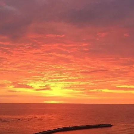 Reyna Maison d'hôtes Constanţa