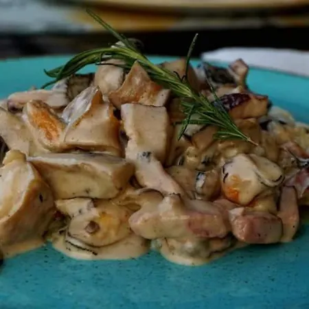 Reyna Гостевой дом 4*